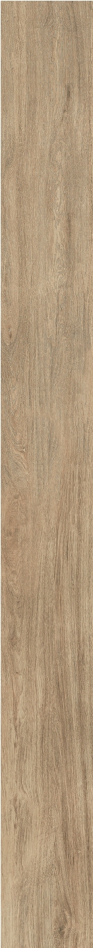 Selection Oak