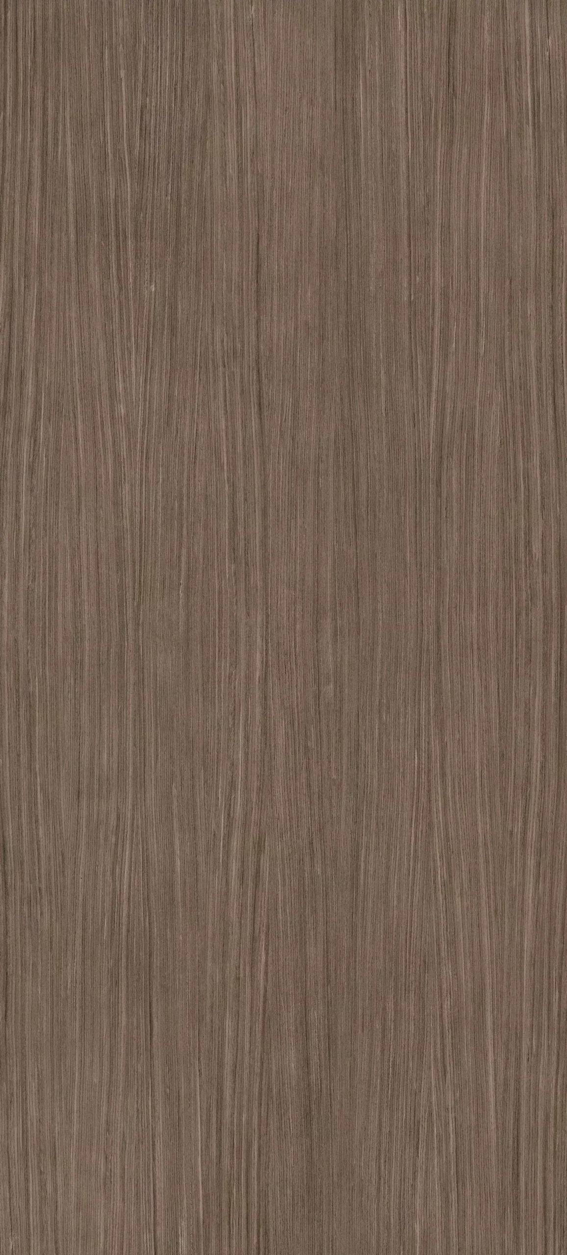 Plank 02