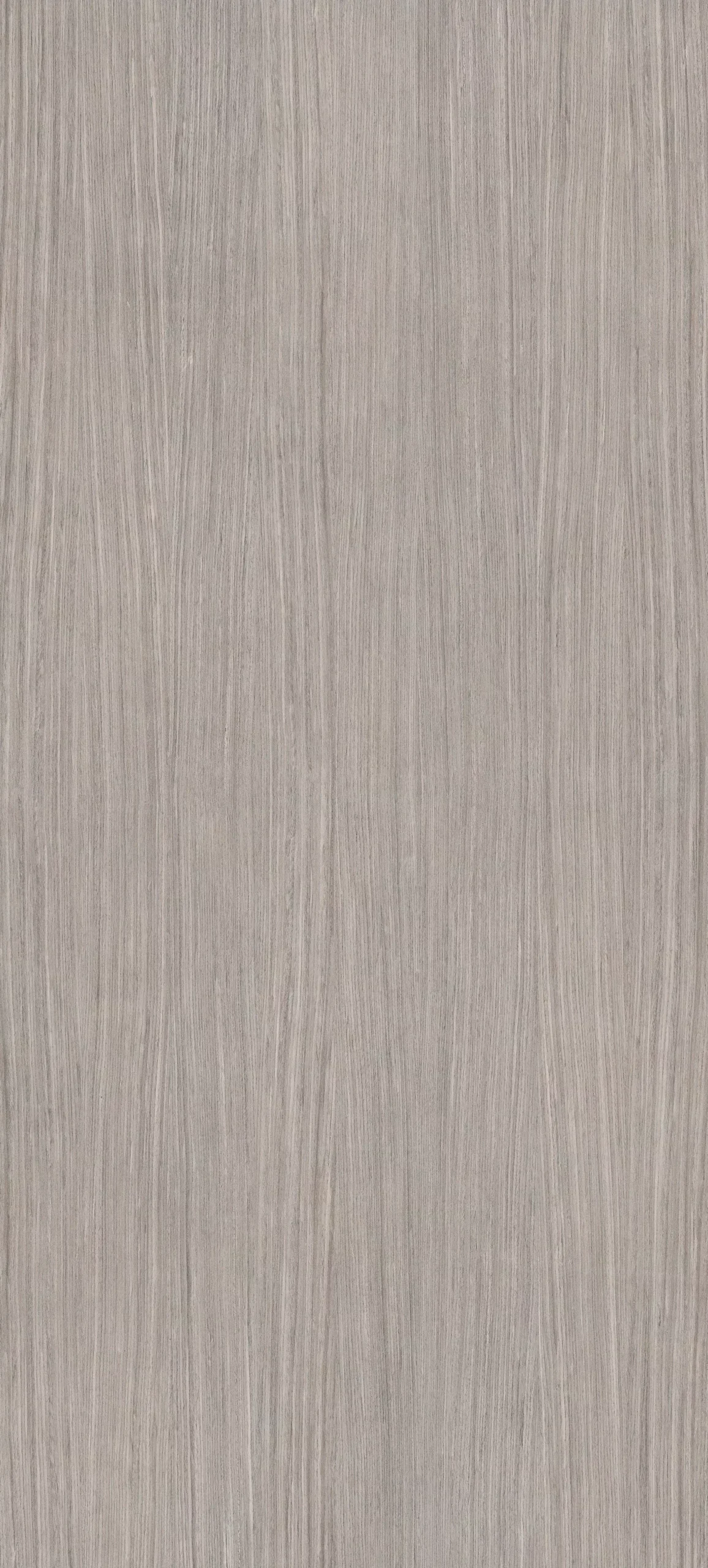 Plank 05