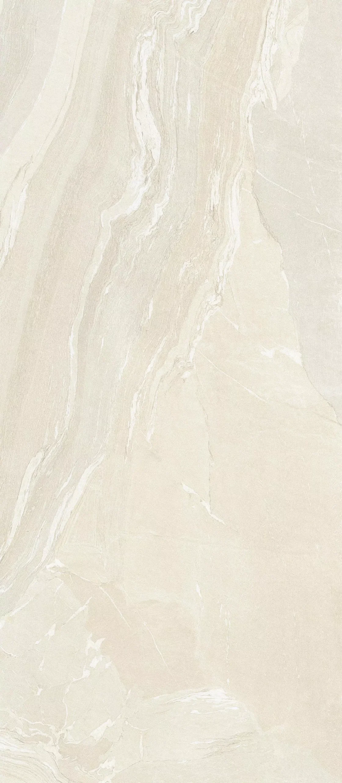 Cotton